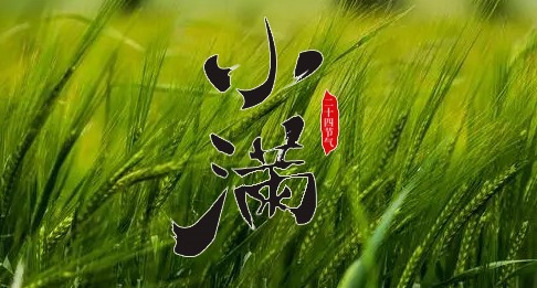 二十四节气|小满